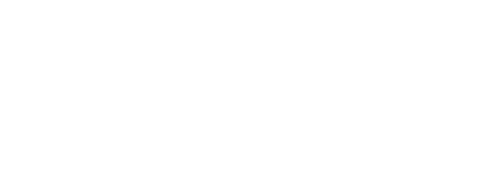 Dynabit