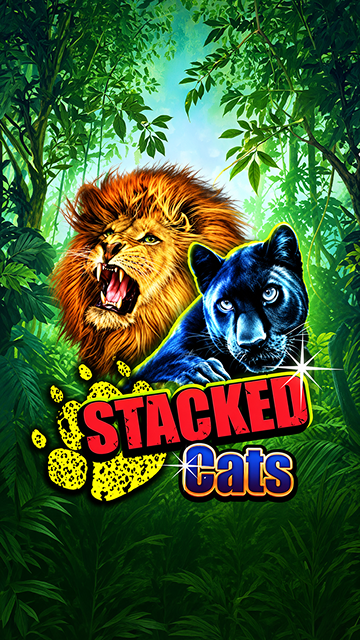 Stacked Cats